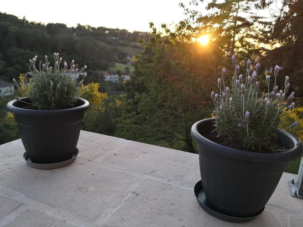 Chambre Meublee Avec Vue Panoramique A Perigueux Sanilhac  Exterior foto
